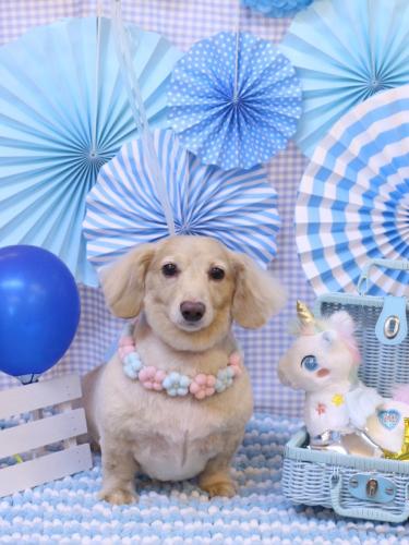 20231108テヤンくん